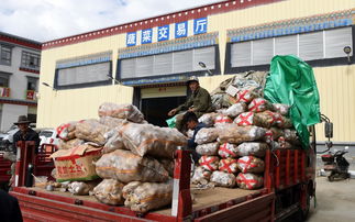 拉萨建成西藏最大农副产品批发市场